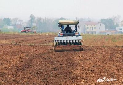 襄州区152万亩小麦秋播生产全面展开