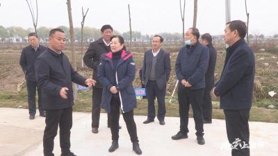 省评估组对襄州区农村人居环境整治三年行动进行评估 