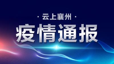 襄阳市新型冠状病毒肺炎疫情通报（285）