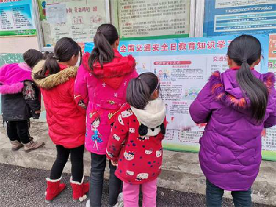 襄州区教育局组织收看《平安行2020》专题节目