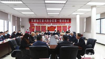 【聚焦两会】区政协委员分组讨论政协两个工作报告 