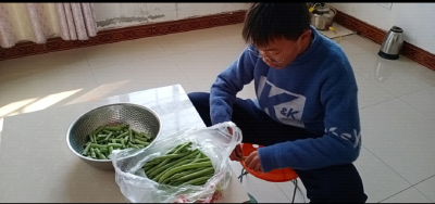 伙牌镇中心学校 :开展劳动技能大赛 弘扬学生劳动精神