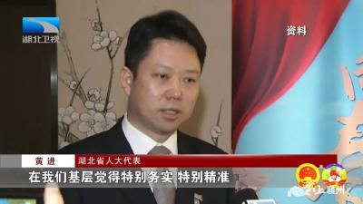 【湖北两会】23245！省人大代表黄进解读“战疫密码”