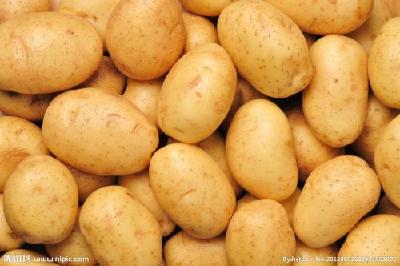 农民种植土豆忙 产业脱贫有保障