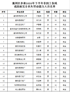 襄阳市襄州区2020年下半年非因工伤残或因病完全丧失劳动能力人员名单公示