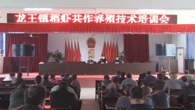 长江大学教授“坐诊”龙王虾塘