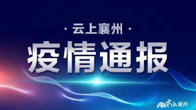 襄阳市新型冠状病毒肺炎疫情通报（663）