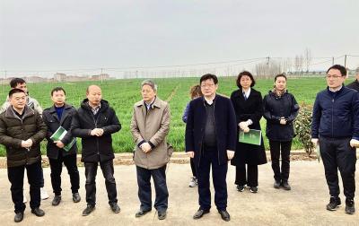 农业农村部领导到襄州检查指导春季农业生产工作