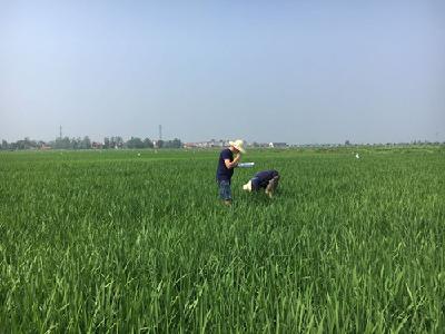 襄州区2021年主要农作物春季施肥指导意见