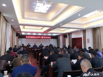 【学党史】张家集镇：学习百年党史践行初心使命