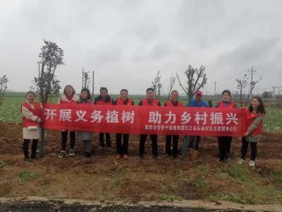 襄州区老干部局：赴结对村开展义务植树  助力乡村振兴