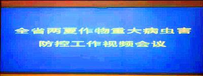 襄州区组织收看全省两夏作物重大病虫害防控 工作视频会