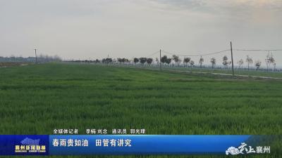 春雨贵如油  田管有讲究
