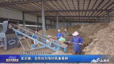龙王镇：合作社引导村民备春耕
