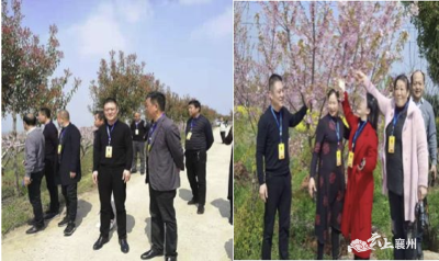 黄集镇人大：精心谋划“代表带你游襄州”    精准助推“多彩黄集兴发展”