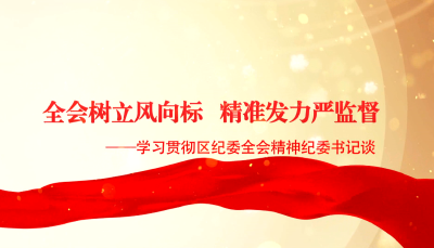 全会树立风向标 精准发力严监督——学习贯彻区纪委全会精神访谈