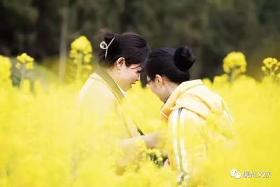 赏花攻略 | 襄州的春之序章里，一定有油菜花的花香