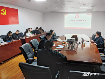 【学党史】区招商服务中心深入开展党史学习教育