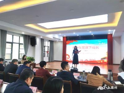 区纪委监委开展机关青年干部“青春在党旗下成长”主题论坛活动