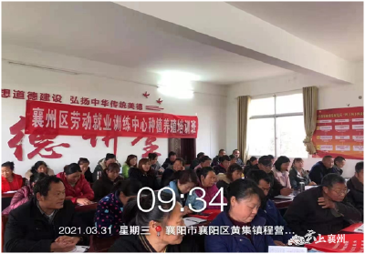 区人社局开展农业培训  助力乡村振兴