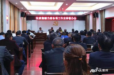张家集镇：以督办求实效 以真抓促落实