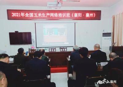 襄州农技推广中心组织收看2021年全国玉米生产网络培训课