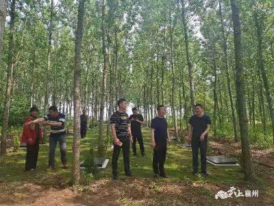 峪山镇扎实推进公益性公墓建设