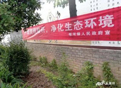 程河镇人大代表助力秸秆禁烧工作