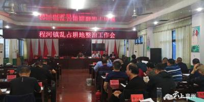 程河镇刀刃向内打击违法用地