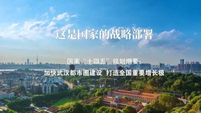 奋楫扬帆正当时