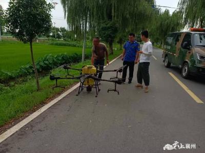 开展病虫害防治工作 打造靓丽风景线