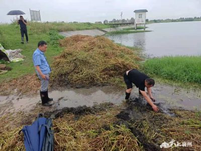 筑牢防汛“安全堤”  人大代表在行动