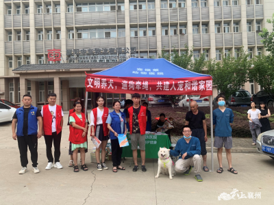机车社区：提倡文明养犬 共建美好家园