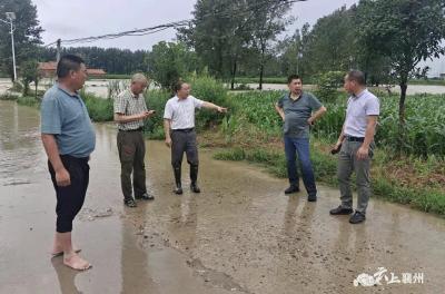 程河镇：暴雨袭来 人大代表在一线