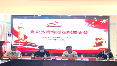 区中心幼儿园党支部召开党史学习教育专题组织生活会