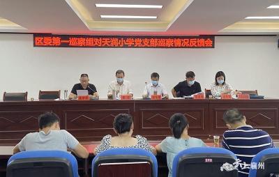 襄州区委第一巡察组向区天润小学党支部 反馈巡察情况