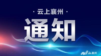 文旅部：不得组团前往这些地区旅游！