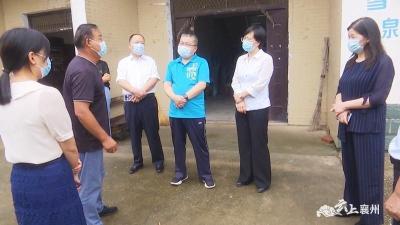 市领导到我区督导疫情防控工作