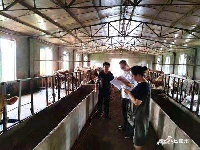 襄州：下沉一线监督 将实事办到群众心坎上