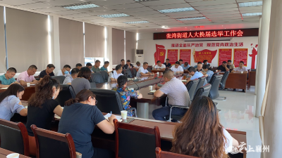 张湾街道召开人大换届选举工作会