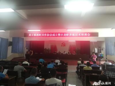 龙王镇成立稻虾共作协会