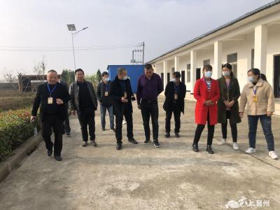 程河镇组织人大代表访民情 集民意 传民声