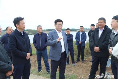 刘明锋调研龙王镇乡村振兴和全域国土综合整治规划建设情况
