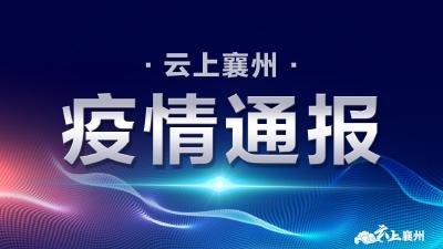 襄阳市境外返襄入襄人员有关情况通报（595）