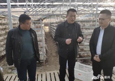 发展特色产业 全力推进乡村振兴