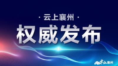 中国共产党湖北省第十一届委员会第十次全体会议决议