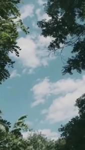 15张海报，致敬2021