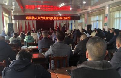 程河镇召开平安建设暨反电诈工作推进会