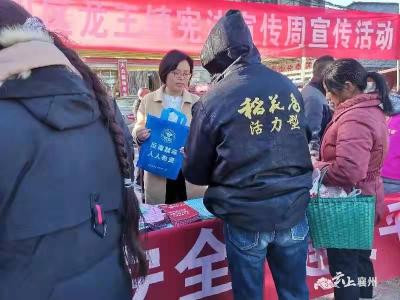 龙王镇开展“国家宪法日”、禁毒等主题宣传活动