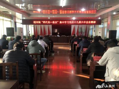 程河镇“两代表一委员”集中学习党的十九届六中全会精神